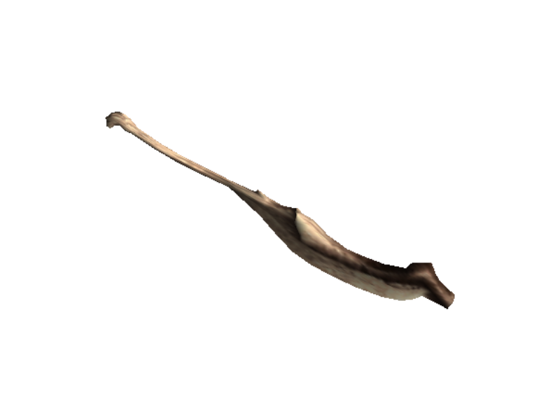 In-game render of Bone G